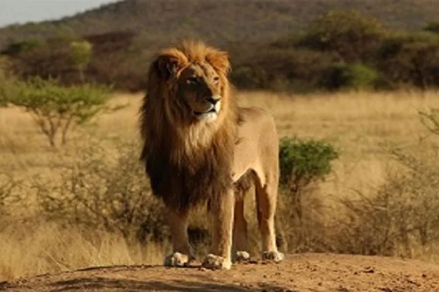 Cheap flights to Lusaka